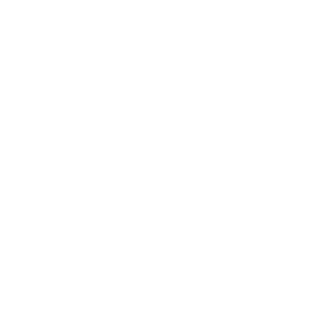 Pascari Renovation
